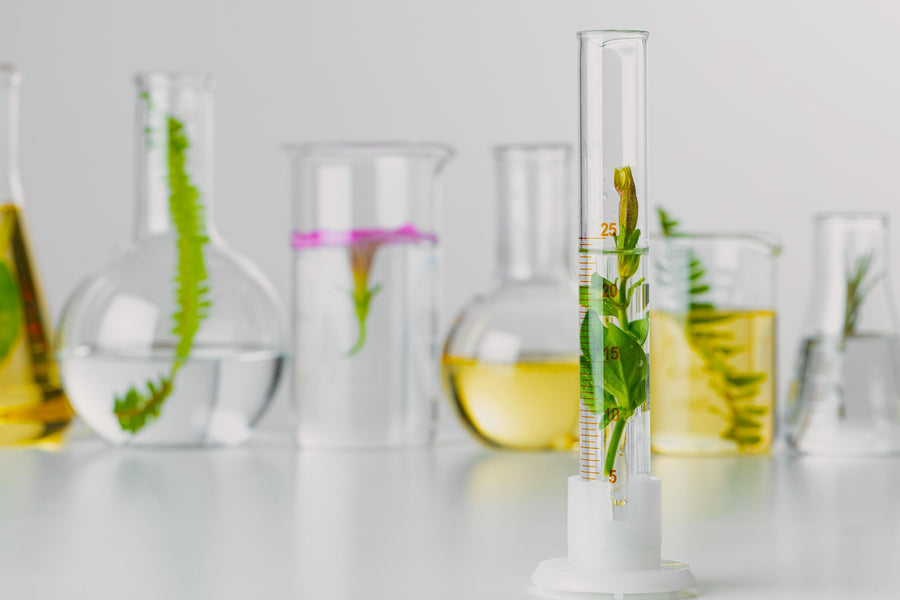CPNP réglementation cosmétique européenne