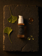 Forêt Ancienne — Gel Booster Antioxydant au Ginkgo 30ml — ingrédients flat lay — CAMENYS