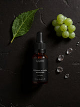 Bouclier Végétal — Gel Booster Antioxydant au Ginkgo 20ml — ingrédients flat lay — CAMENYS