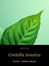 Centella Asiatica — actif clé Pureté Vivante — Gel Clarifiant Certifié Naturel — CAMENYS