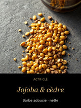 Jojoba & cèdre — actif clé Bois Sauvage - Huile à barbe enrichi au CBD — CAMENYS