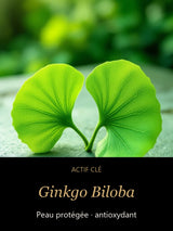 Ginkgo Biloba — actif clé Forêt Ancienne — Gel Booster Antioxydant au Ginkgo 30ml — CAMENYS