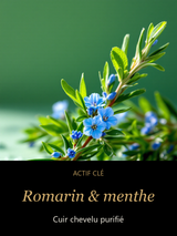 Romarin & menthe — actif clé Racines nettes - Exfoliant pour cuir chevelu, romarin et menthe — CAMENYS