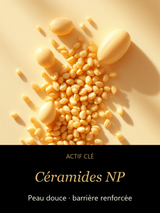 Céramides NP — actif clé Nuit Précieuse - Crème de Nuit Céramide Barrière — CAMENYS