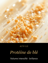 Protéine de blé — actif clé Volume Intense -Shampoing à la kératine — CAMENYS