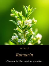 Vigueur Verte — Huile Fortifiante Cheveux au Romarin CAMENYS — Romarin : Cheveux fortifiés · racines stimulées