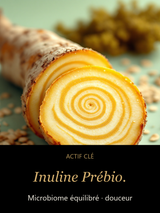 Inuline Prébio. — actif clé Rosée Vivante — Sérum Gelée Prébiotique Équilibrant — CAMENYS