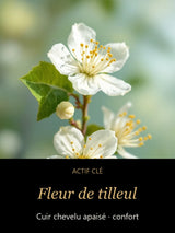 Fleur de tilleul — actif clé Racines Apaisées - Shampooing Cuir Chevelu Sensible — CAMENYS