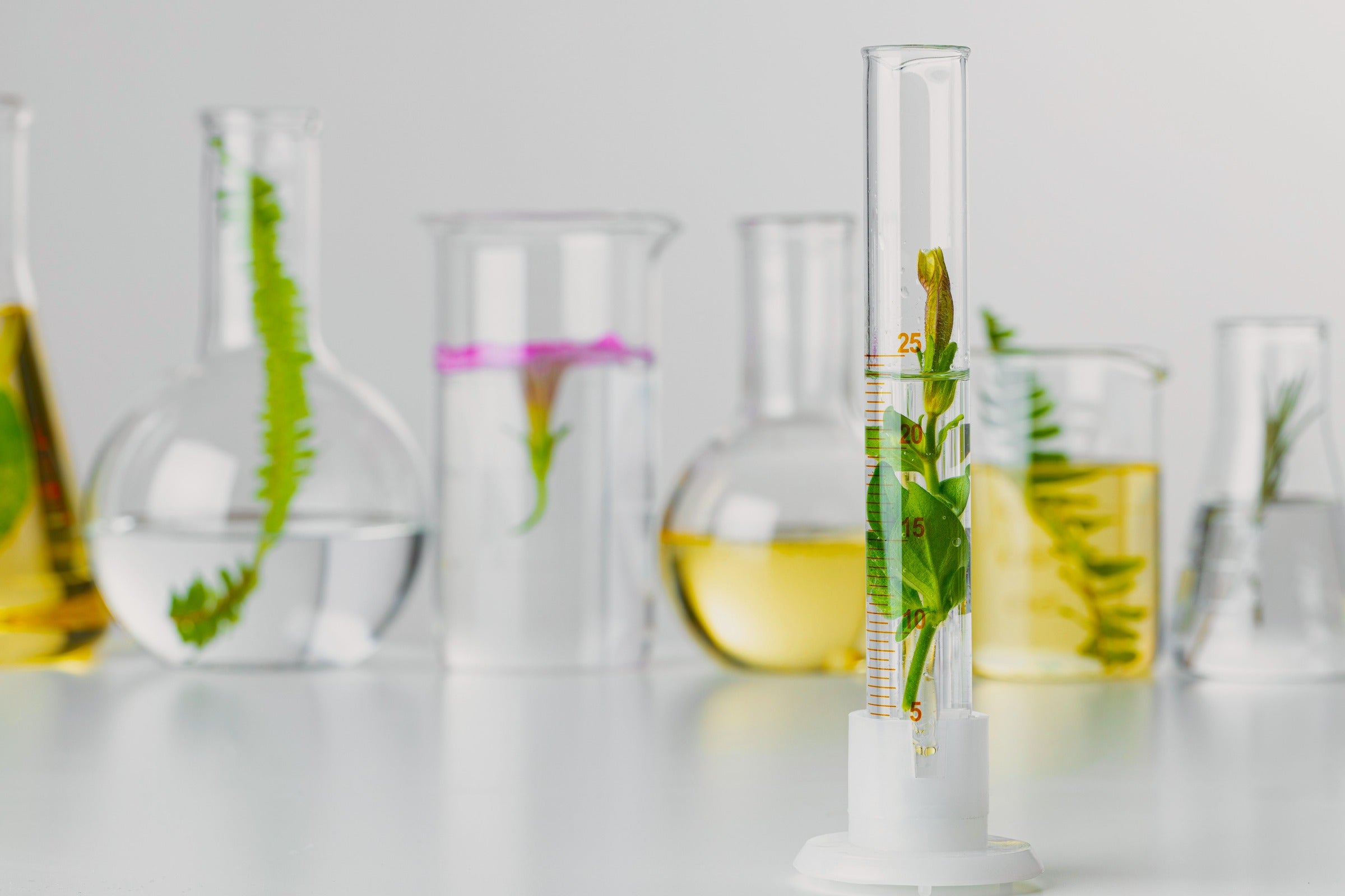 CPNP réglementation cosmétique européenne