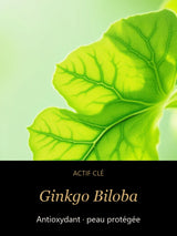 Ginkgo Biloba — actif clé Bouclier Végétal — Gel Booster Antioxydant au Ginkgo 20ml — CAMENYS