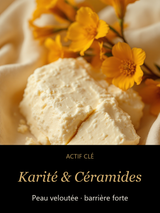 Karité & Céramides — actif clé Velours Profond — Crème Riche Nourrissante Sans Parfum — CAMENYS