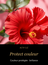 Protect couleur — actif clé Eclat Coloré - Shampooing pour cheveux colorés — CAMENYS