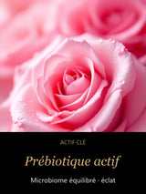 Prébiotique actif — actif clé Brume Vivante Prébiotique — Équilibre & Éclat du Microbiome — CAMENYS
