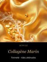 Collagène Marin — actif clé Trame Dorée — Crème de Nuit au Collagène — CAMENYS