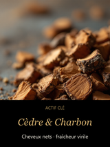 Cèdre & Charbon — actif clé Rituel Double — Nettoyant 2-en-1 Cheveux & Corps (Homme) — CAMENYS