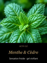 Menthe & Cèdre — actif clé Cèdre Froid — Gel Lavant Mains & Corps — CAMENYS