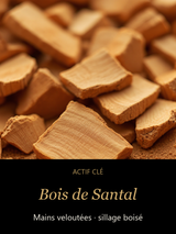 Bois de Santal — actif clé Soie & Santal — Crème Mains Nourrissante — CAMENYS