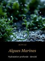 Source Intense — Sérum Hydratant (Homme) CAMENYS — Algues Marines : Hydratation profonde · densité